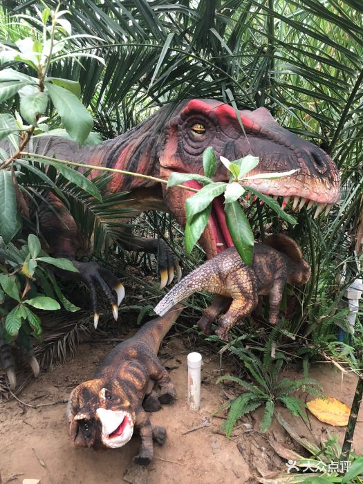 呀路古热带植物园·恐龙馆图片