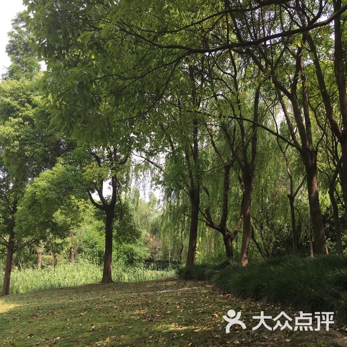 庙行公园图片-北京公园-大众点评网