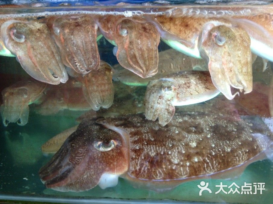 小涂海鲜(三亚湾店)木鱼图片 第16张