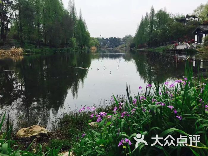 玄武湖公园图片 - 第1张