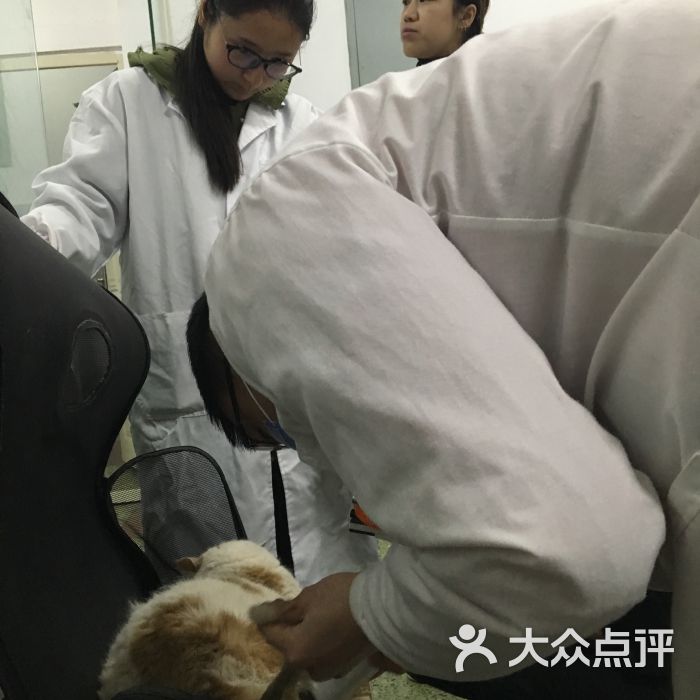 西南民族大学动物医院