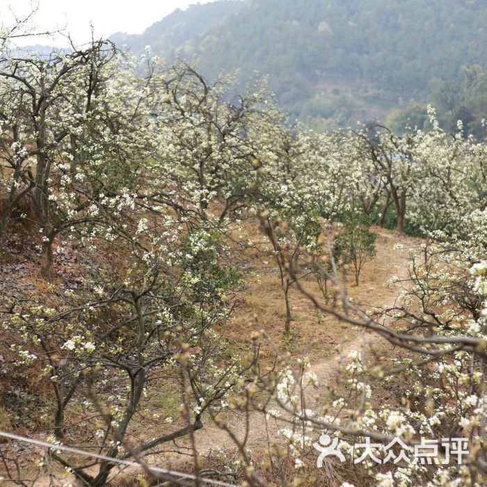 梨花溪风景区