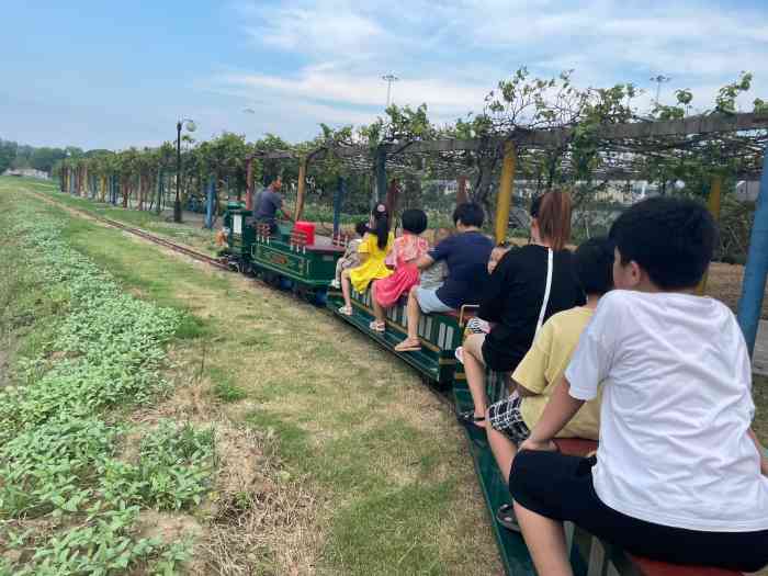 苏州太湖西山岛开心农场-"绿光农场在西山岛上,导航可以直接导到那里.