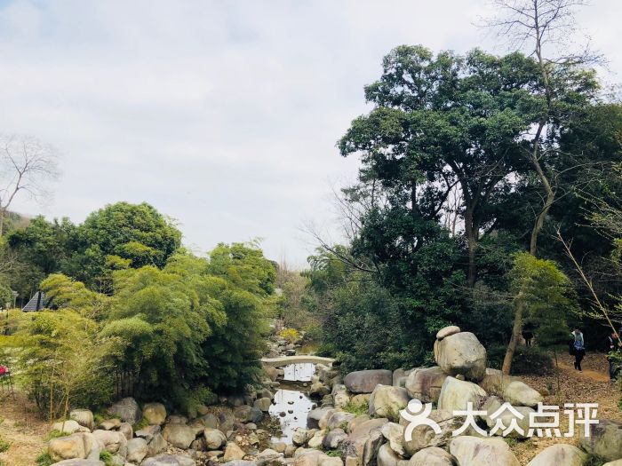 宝界山林公园图片 - 第38张