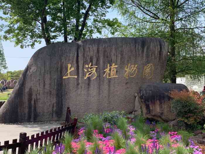上海植物园"不知道是哪位亲临时来了兴致,非要拽着我去.
