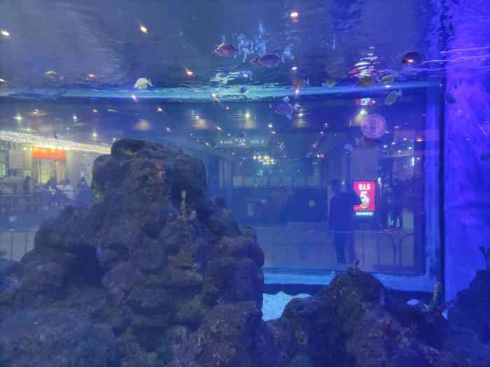 鎏嘉码头水族馆-"这里是一个免费的水族馆虽然不大,也