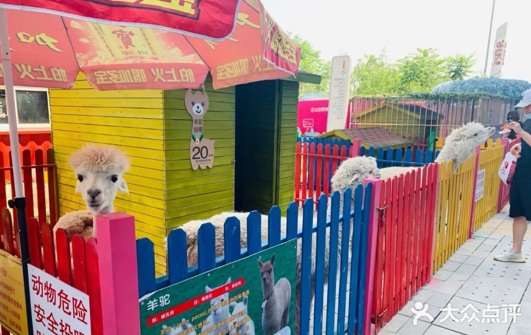 万达广场亲子动物乐园(西铁营万达店)图片