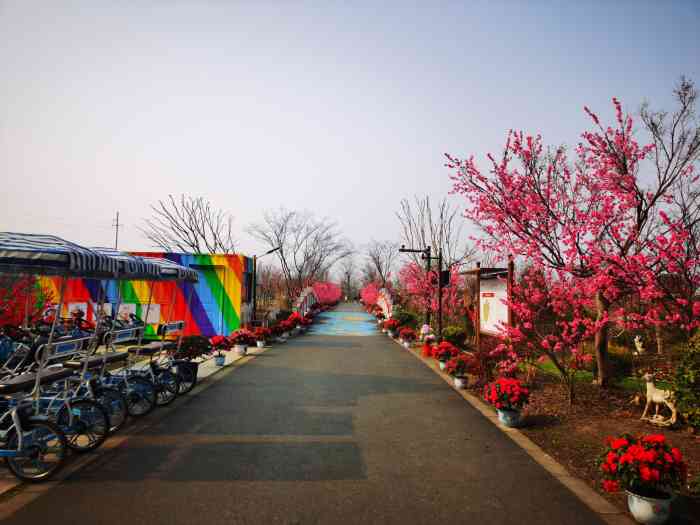 九龙湾花星球-"江苏省无锡市滨湖区有一家 九龙湾."-大众点评移动版