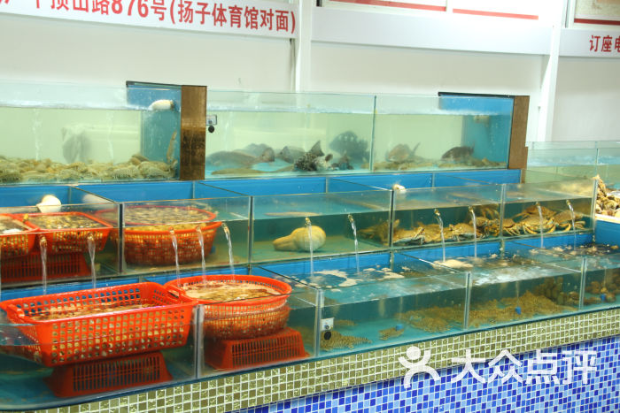 超市海鲜暂养池的制作_海鲜池_海鲜暂养池