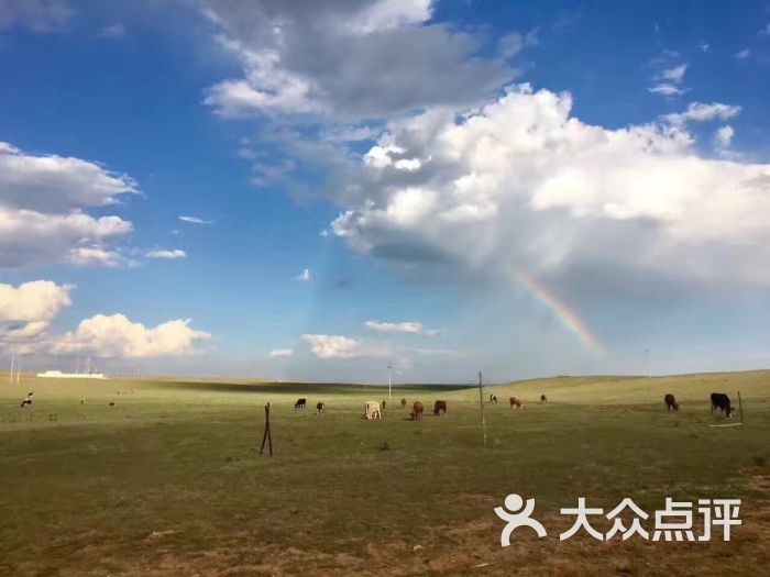 希拉穆仁草原-图片-达尔罕茂明安联合旗周边游-大众点评网