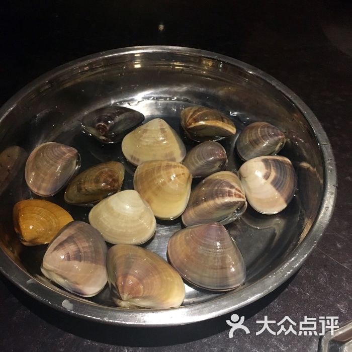 三角贝