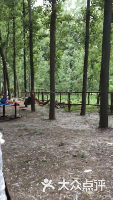 南山农艺园图片 第2张
