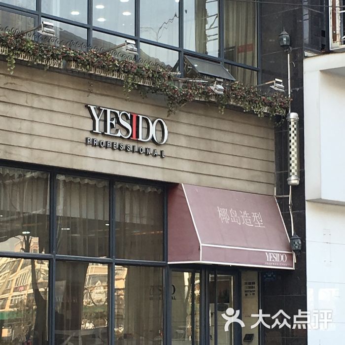 yesido椰岛造型