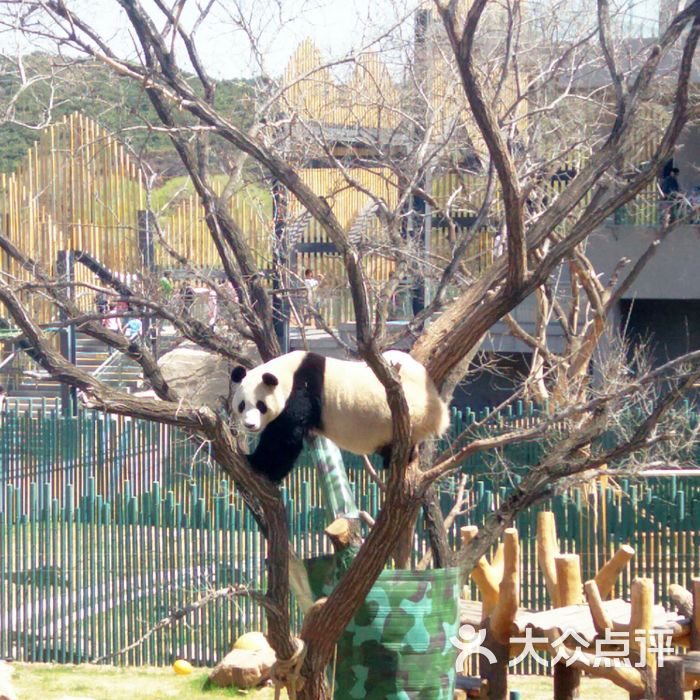 沈阳森林动物园