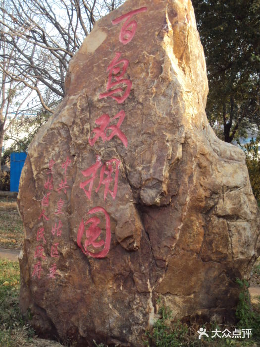 百鸟公园图片
