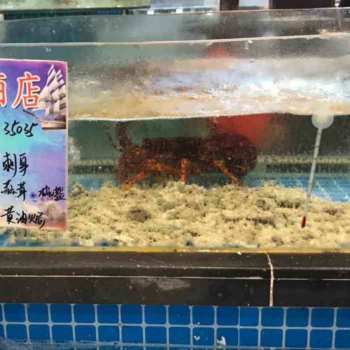 景灿大酒店-"句容人婚宴多数都在曙光开元比较多,所以