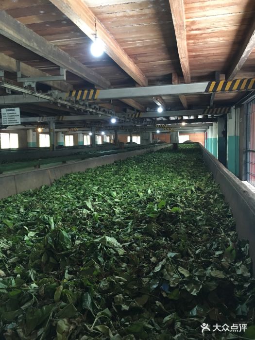 geragama茶叶加工厂图片