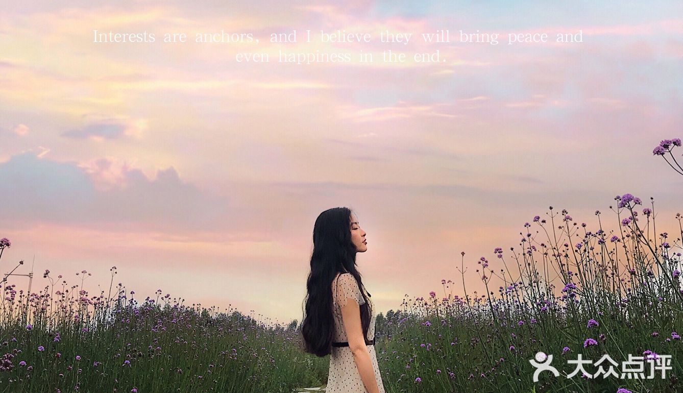 深圳拍照圣地|油画般的春天最美粉紫色花海