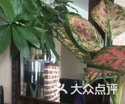 帝恩整体视频广场(和谐造型店)-学生-济南图片怎样剪美学头丽人图片