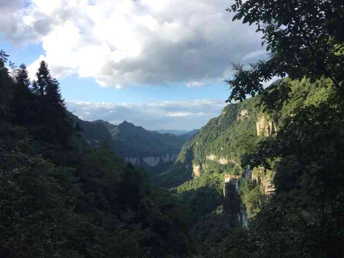 大方县油杉河景区-"最近最玻璃栈道有点迷,五一又去了