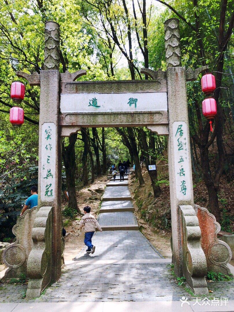 春天的穹窿山,目之所及皆是绿意