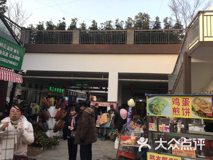 镇江花鸟市场图片 - 第4张