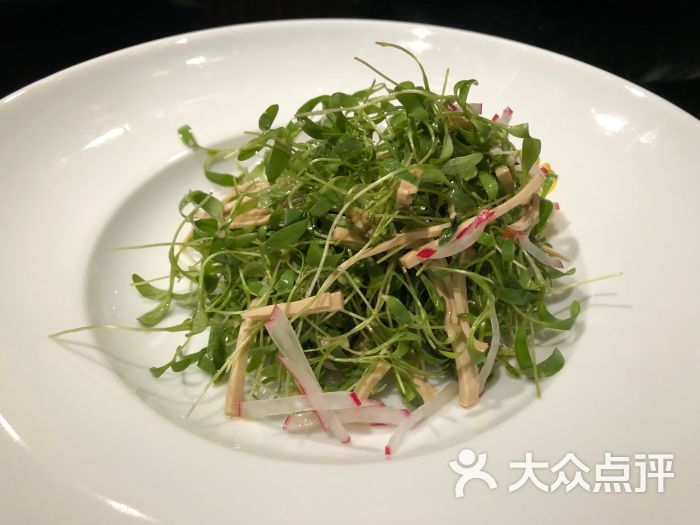 新荣记(南阳路店)-香菜苗图片-上海美食-大众点评网
