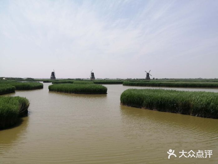 巨淀湖风景区图片