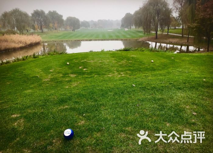 东方双鹰高尔夫俱乐部停车场图片 - 第3张