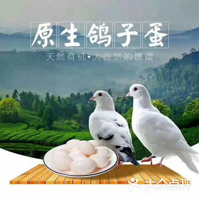南方门鸽子蛋早市-第2张丰润蜥蜴卖的图片图片