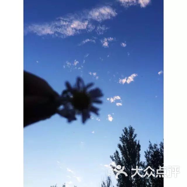 沈阳国际软件园(沈本大道店)-图片-沈阳生活服