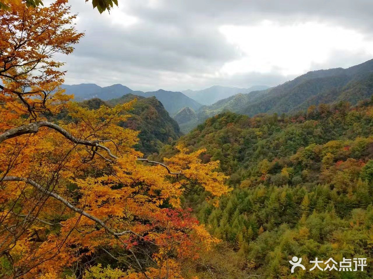 光雾山风景区位于四川省巴中市南江县光雾山镇