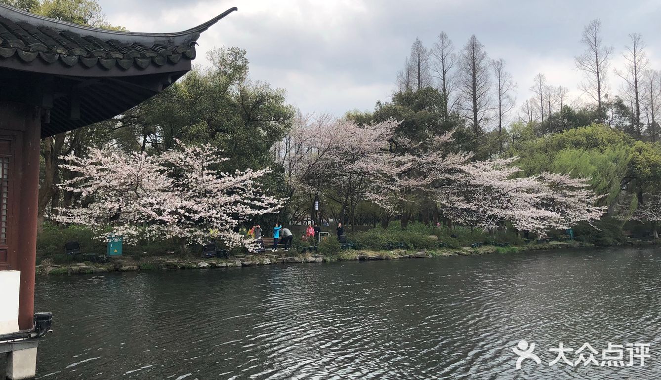 春天的杭城 百花盛开的西湖 处处风景,满目好看