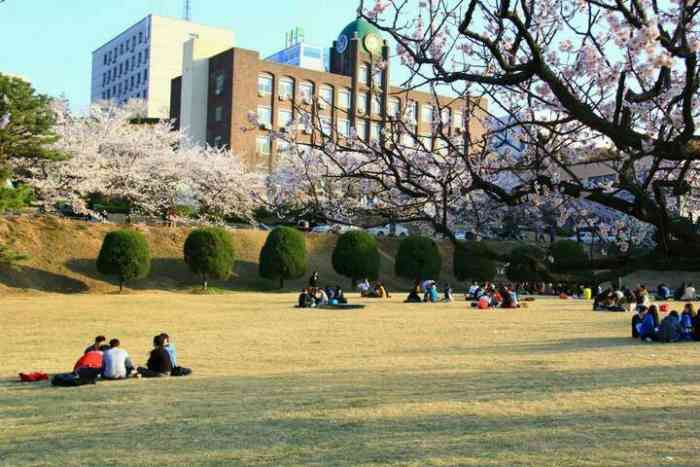 庆熙大学(国际校区店)