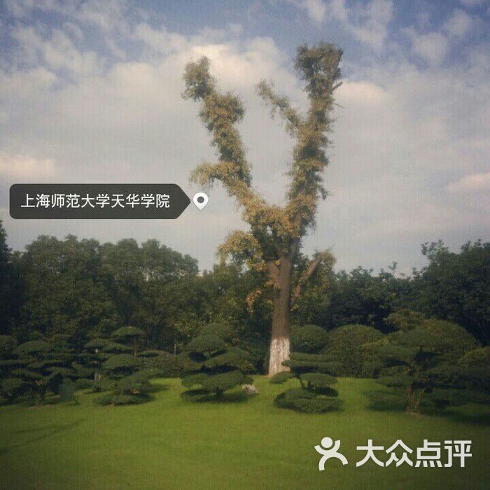 上海师范大学天华学院校园图片-北京大学-大众点评网