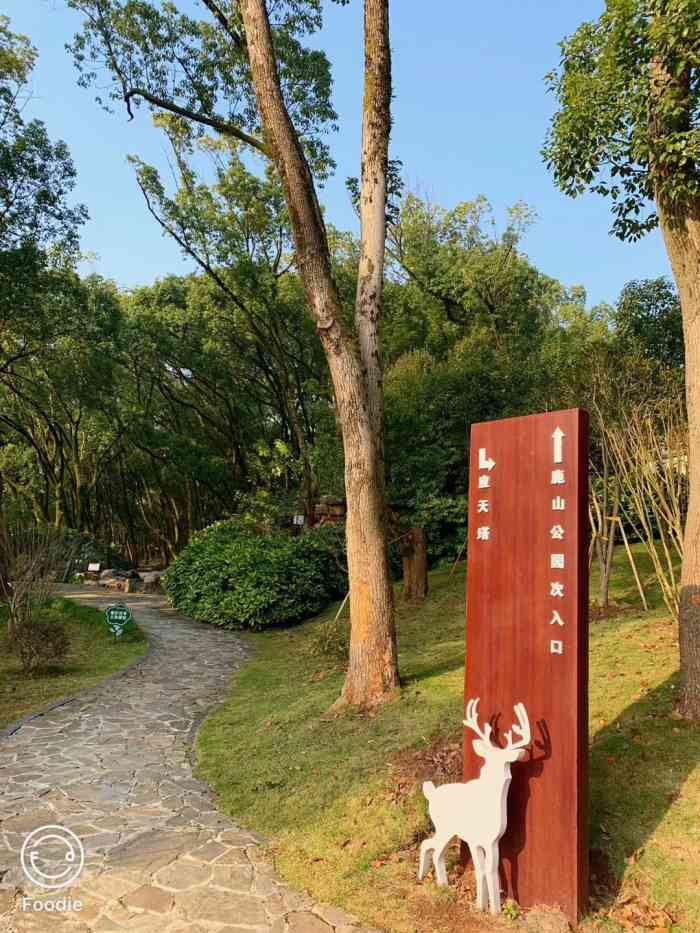 鹿山公园-"据说原名鹿胎山,是有历史典故的,山上有迁.
