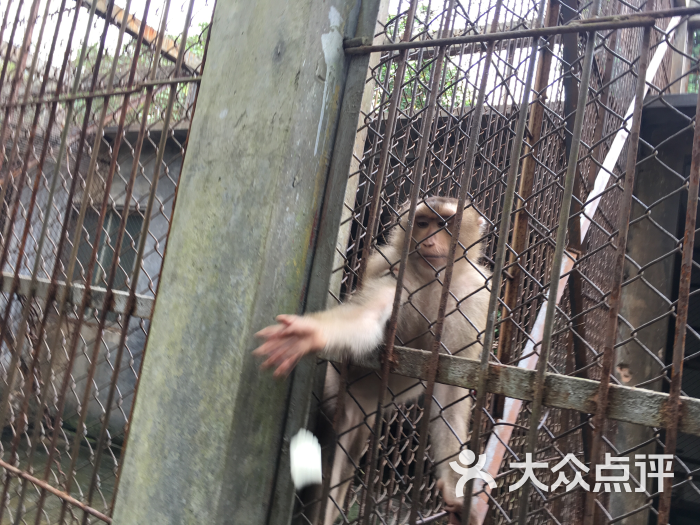 赣州森林动物园图片 - 第15张