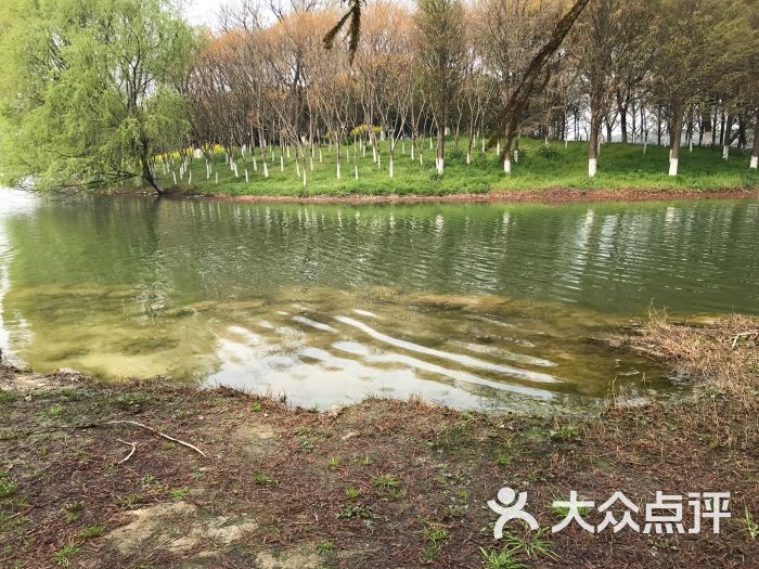 虎丘湿地公园图片 - 第1张