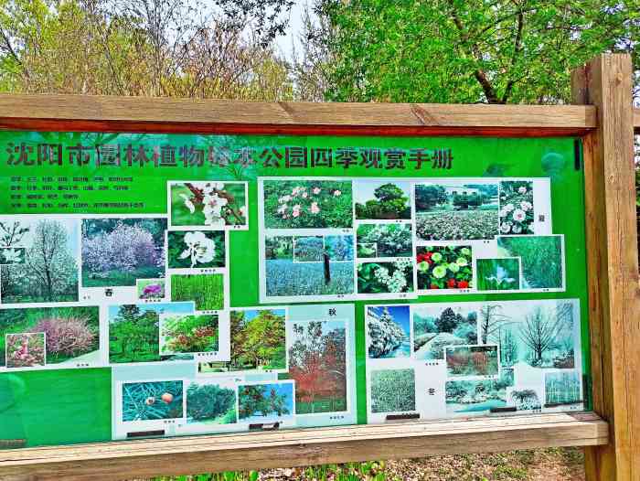 沈阳市园林植物标本公园"在大众点评种草的又一个公园 来了发现竟然.