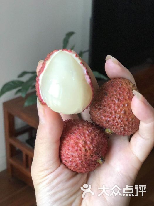 靠谱水果批发行