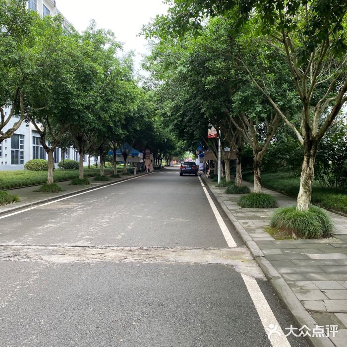 重庆师范大学涉外商贸学院(铜梁校区)图片