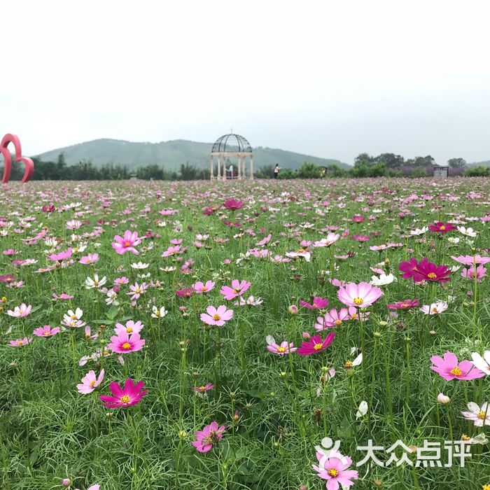 查比花海呦呦鹿鸣高端葡萄庄园