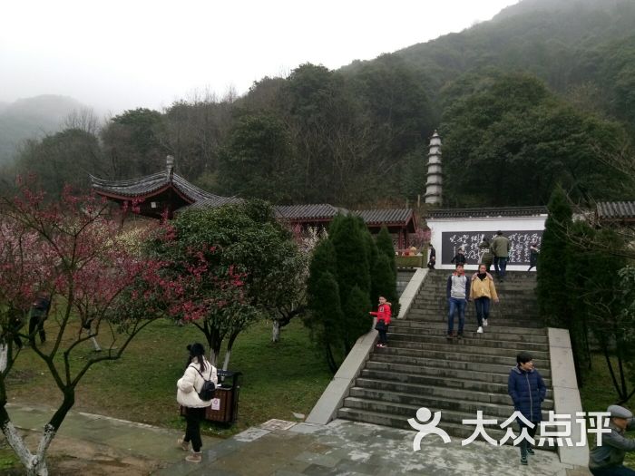 九峰山网岙景区图片 第90张