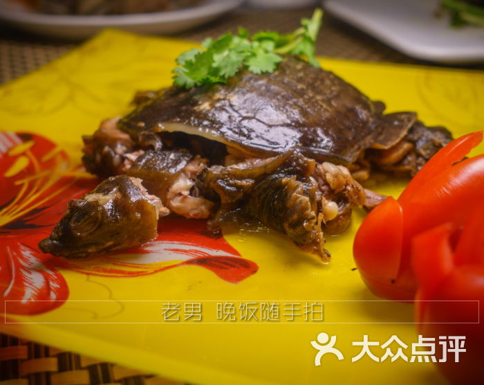 邂逅小贾鱼-卤甲鱼图片-重庆美食-大众点评网