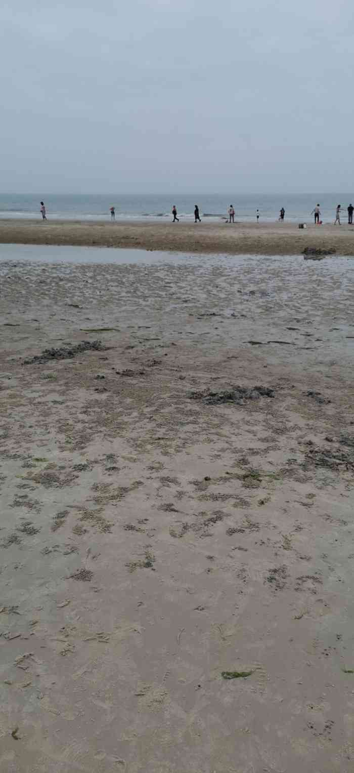 北海银滩-"沙很细腻,象面粉一样,湿了象泥.海边冲淡.