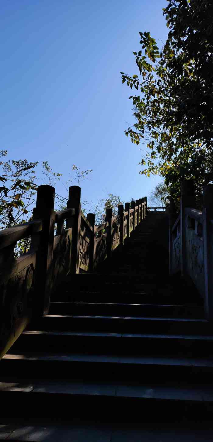 永隆山森林公园-"永隆山森林公园位于南川主城区 我们