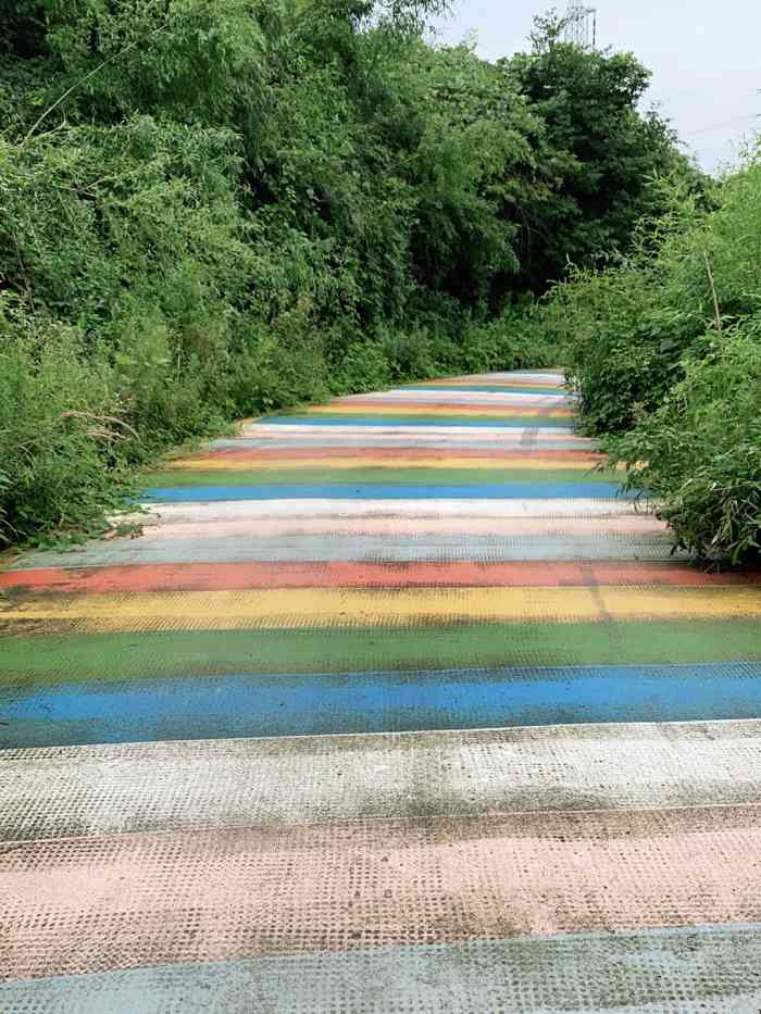 德清县西湖顶生态茶场-"91莫干山96彩虹步道91.