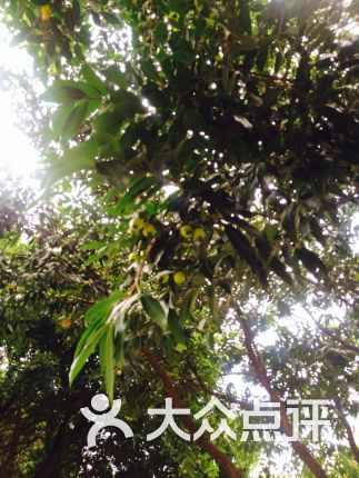 【白云区少年宫】电话_地址_价格_营业时间_