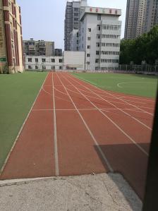 葵英小学"葵英小学是中山区的一所普通小学,位于葵英.