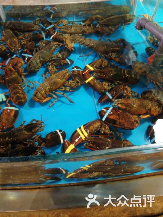 舜和海鲜(舜和国际店)图片 - 第3张